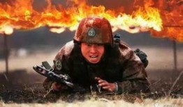 忠诚战士在线观看,在线重温英勇传奇